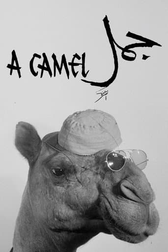 A Camel (1981) poster