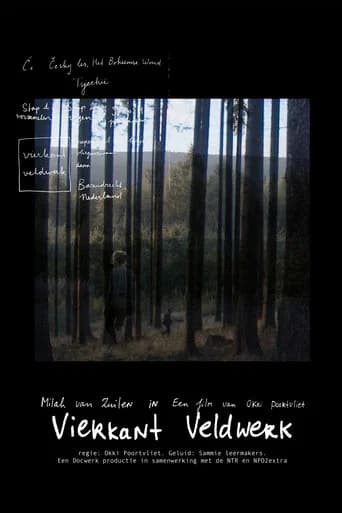 Square Fieldwork (2022) poster