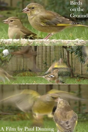 Birds on the Ground (2023) poster