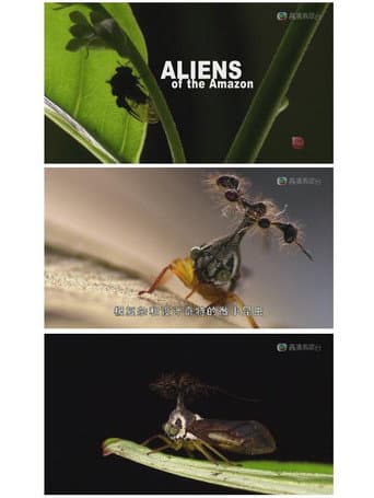Aliens of the Amazon (2009) poster
