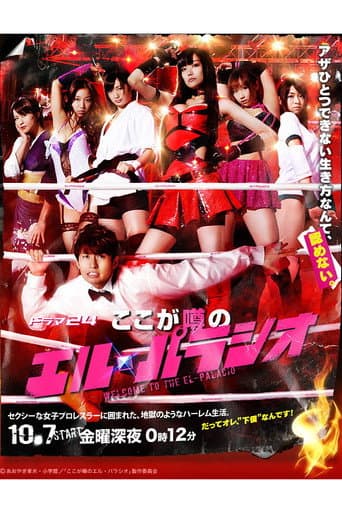 Welcome to the El-Palacio (2011) poster