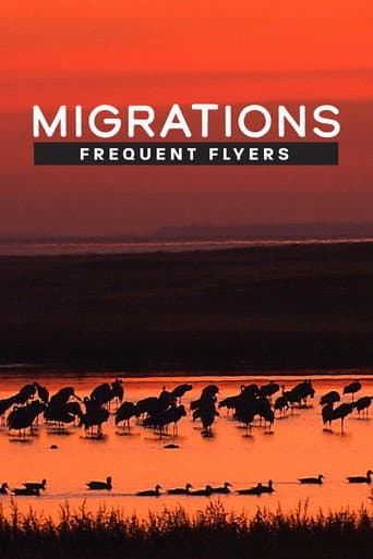 Migrations: Frequent Flyers (2020) poster