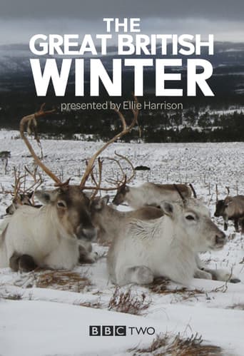 The Great British Winter (2013) poster