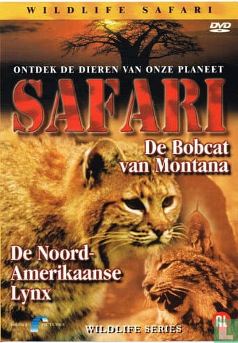 Safari: De Bobcat van Montana / De Noord-Amerikaanse Lynx (2002) poster