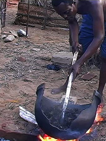 African Herbsmen: Healing and Religion along the Bight of Benin (2012) poster