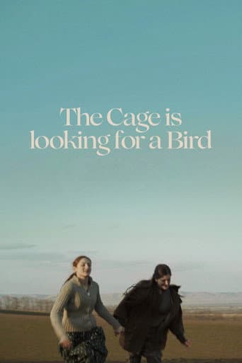 The Cage is Looking for a Bird (2023) poster