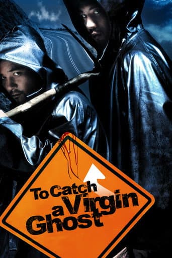 To Catch a Virgin Ghost (2004) poster