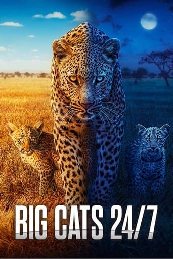 Big Cats 24/7 (2024) poster