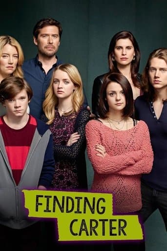 Finding Carter (2014) poster