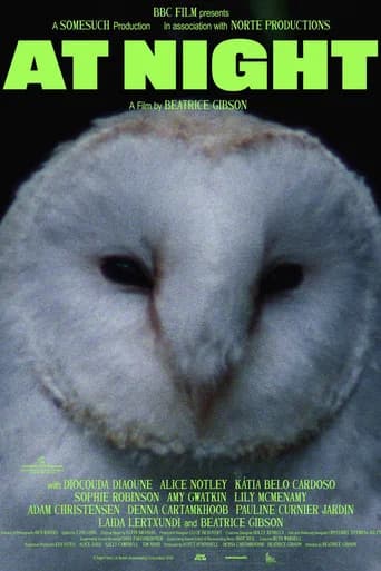 At Night (2026) poster