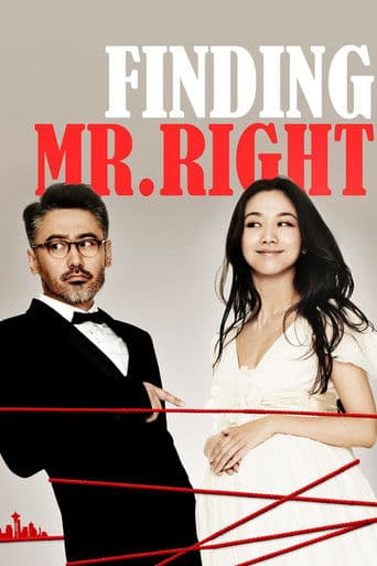 Finding Mr. Right (2013) poster