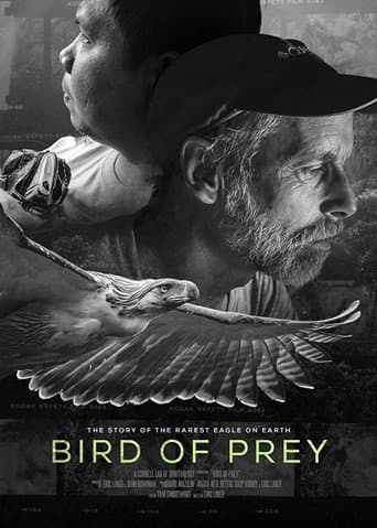 Bird of Prey (2018) poster