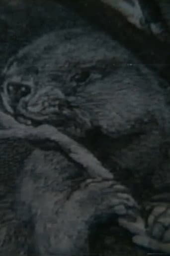 Beaver Report (1979) poster
