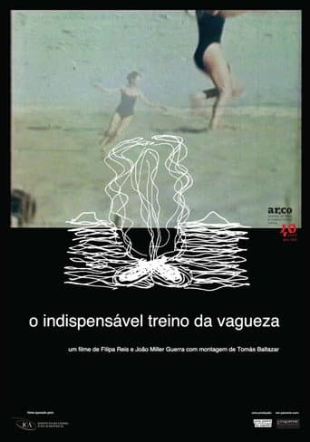 The Indispensable Practice of Vagueness (2014) poster