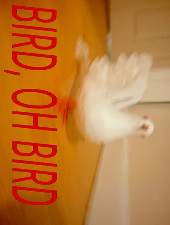 Bird, Oh Bird (2026) poster