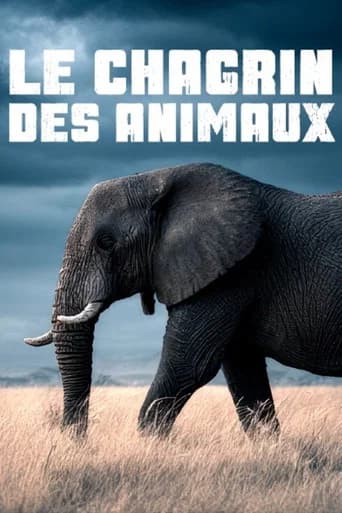 Le chagrin des animaux : mythe ou réalité ? (2025) poster