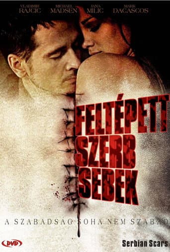 Serbian Scars (2009) poster