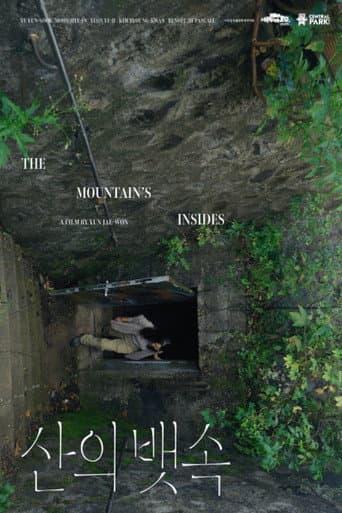 The Mountain’s Insides (2024) poster