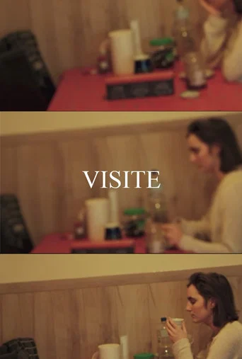 VISIT (2024) poster