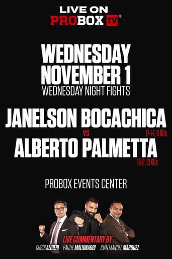 Janelson Bocachica vs. Alberto Palmetta (2023) poster
