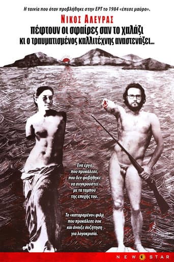 A Hail of Bullets (1977) poster