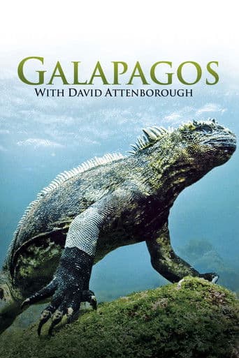 Galapagos 3D with David Attenborough (2013) poster