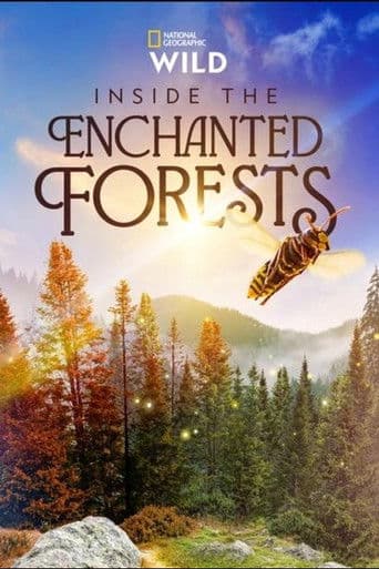 Inside the Enchanted Forests (2024) poster