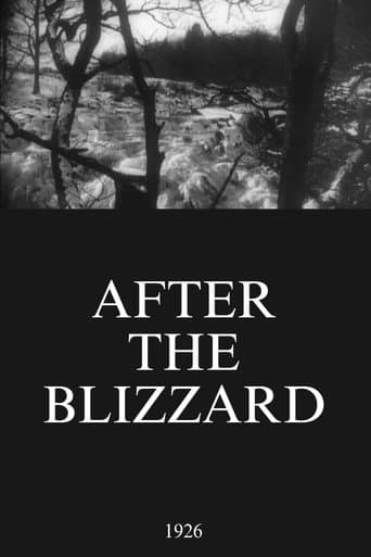 After the Blizzard (1926) poster