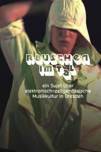 Rauschen im Tal poster