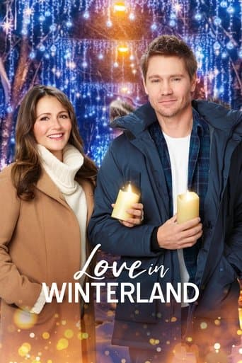 Love in Winterland (2020) poster