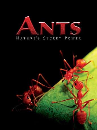 Ants - Nature's Secret Power (2004) poster