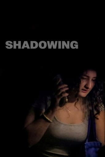 Shadowing (2026) poster