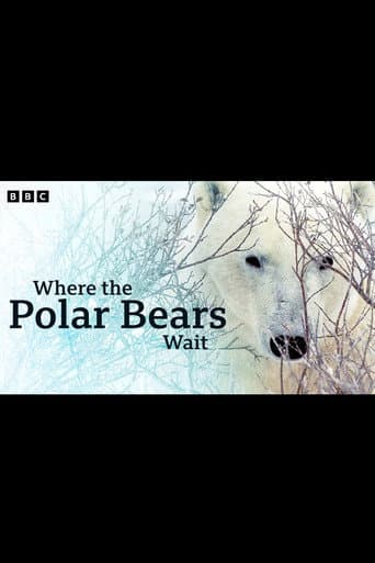Where the Polar Bears Wait (2024) poster