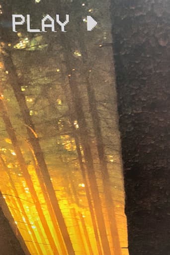 In The Forest (2025) poster