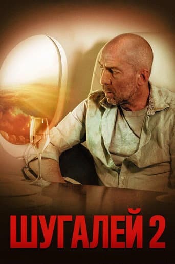Shugaley 2 (2020) poster