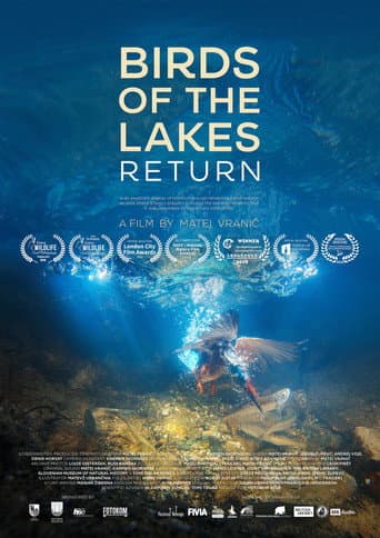 Birds of the Lakes Return (2018) poster