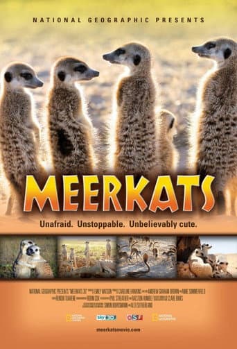 Meerkats 3D (2011) poster