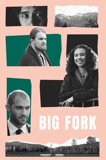 Big Fork (2020) poster