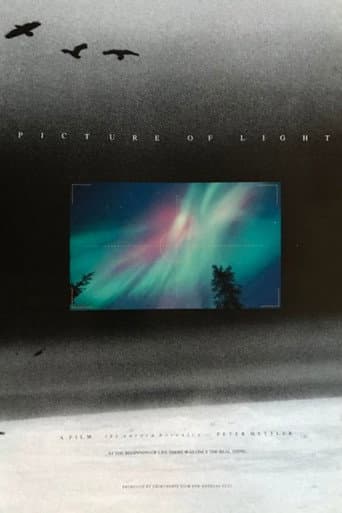Picture of Light (1994) poster