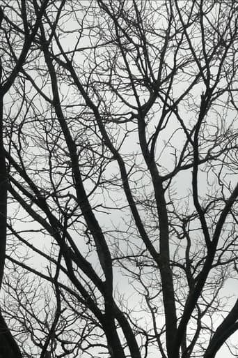 Tree Limbs (2025) poster