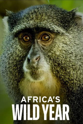 Africa's Wild Year (2021) poster
