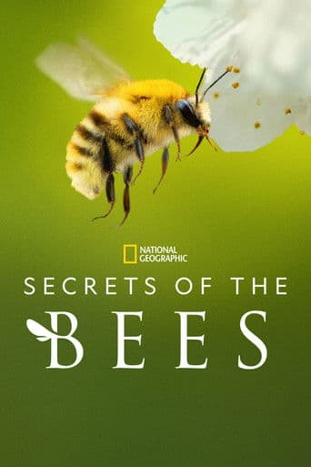 Secrets of the Bees (2026) poster