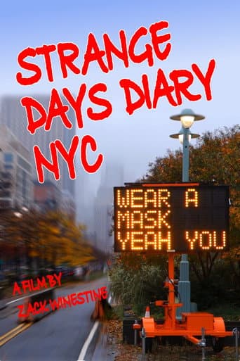 Strange Days Diary NYC (2024) poster