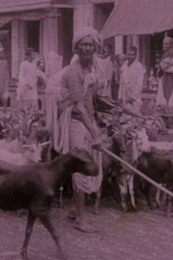 Picturesque India or, In and About Calcutta (1913) poster