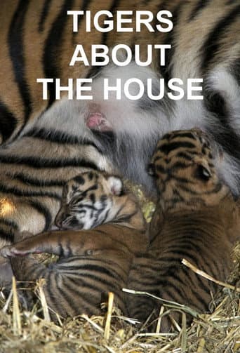 Tigers About the House (2014) poster