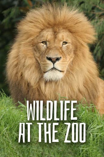 Wild Life At The Zoo (2012) poster