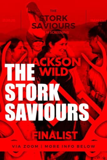 The Stork Saviours (2019) poster