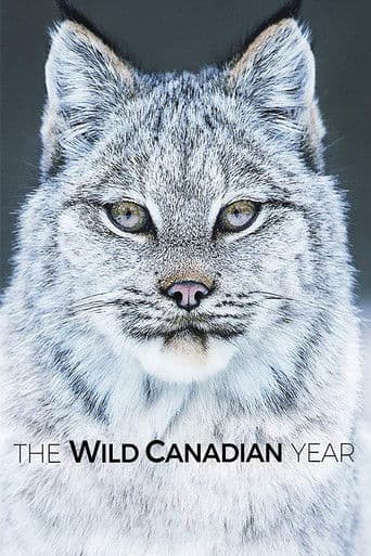 The Wild Canadian Year (2017) poster