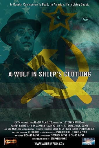 A Wolf in Sheep's Clothing (2016) poster