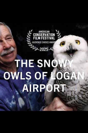 The Snowy Owls of Logan Airport (2024) poster